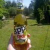 App! cider