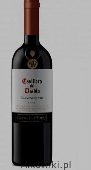 Casillero del Diablo Carmenere