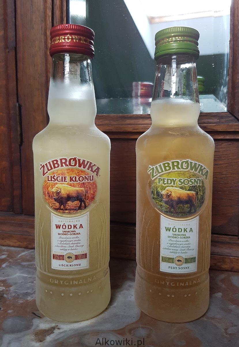 zubrowka liscie klonu i pedy sosny